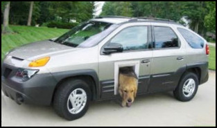 Car with dog flap