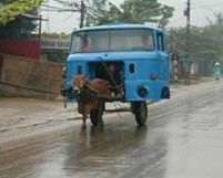 Funny Donkey Car