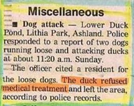 Duck Attack