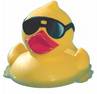 Daft Duck Story