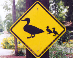 Ducks crossing sign