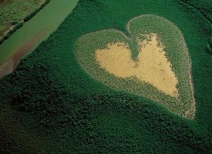When is Earth Day - 36 Days after Valentine's Day