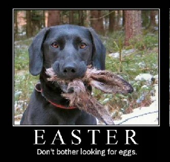 Funny Easter Quotes