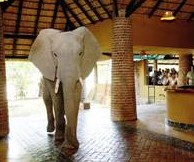 Elephant Hotel