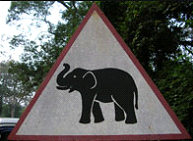 Funny Animal Road Signs