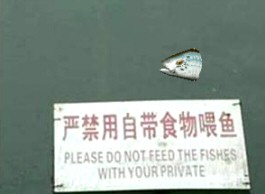 Private Fishing