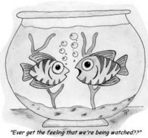 Funny Fishbowl Cartoon