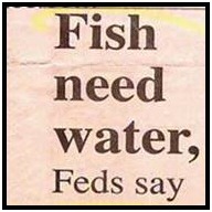 Fish need water - Say Feds