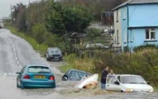 Shark caught in flood