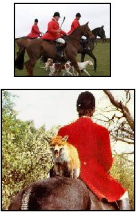 Boxing Day Fox Hunting - New Year Jokes