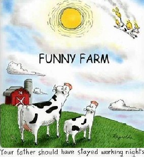 Funny Farm - Over The Moon