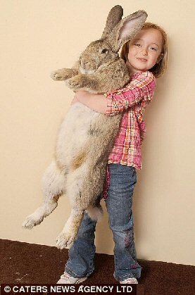 World Record Rabbit