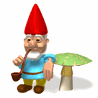 Gnome Story