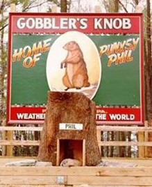 Groundhog at Gobbler's Knoll