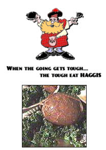 Haggis Special - Special Haggis?