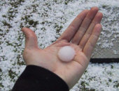 Hailstones in Sydney