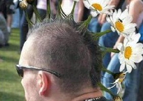 Funny Hairstyle - Flower Power