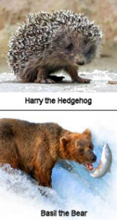 Hedgehog and bear