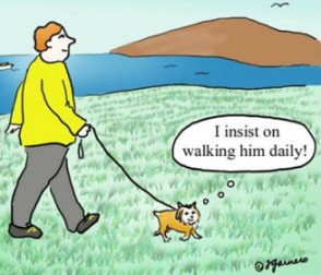 Healthy Walk with dog