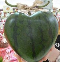 Valentine Melon