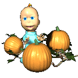 Pumpkin Patch Baby - Funny Picture