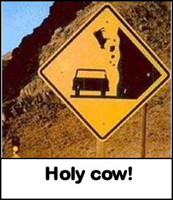 Danger Cow Falling