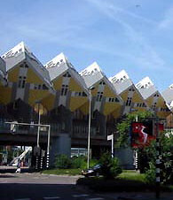Forest of Cubic houses