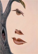 Wonderful illusion woman or bird?