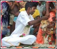 Indian Marries Dog, Amusing Story