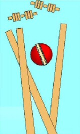 Sardar Cricket Jokes