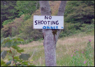 Irish logic - No shooting owner