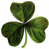 Irish Blessings