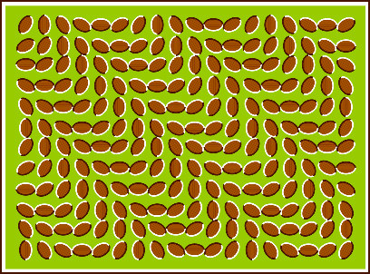 More fantastic illusions