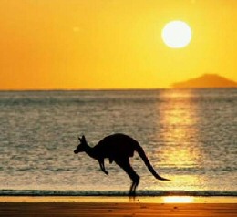 An American goes to Australia