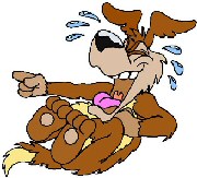 Funny Dogs Videos