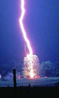 Lightning Storm Damage - Bolt Strikes Tree