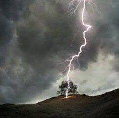 Lightning Strikes Tree Advice