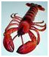 The Pilgrim Fathers would not eat lobster because they thought it was a giant insect.