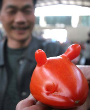 Mickey Mouse Tomato