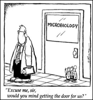 Microbiology Joke