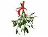 Christmas Mistletoe