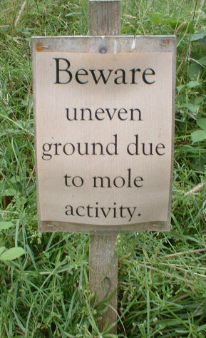 Funny mole picture - Beware unven ground