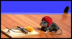 Funny picture of mouse trap