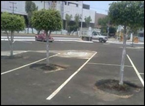 Parking for Trees
