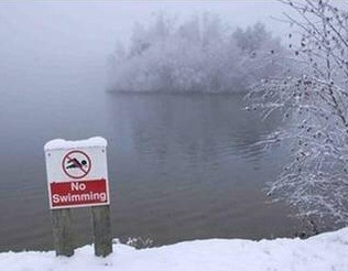 Funny Signs - No Swimming Ridiculous