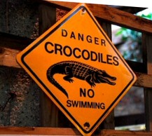 No Crocodiles Swimming