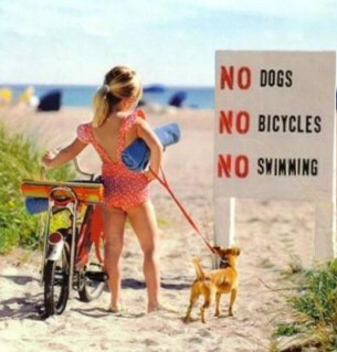 Funny No Swimming Sign