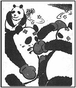 Panda True Love