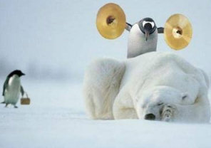 Penguin Picture with Cymbals. Funny picture