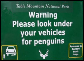 Strange but true stories about Penguins